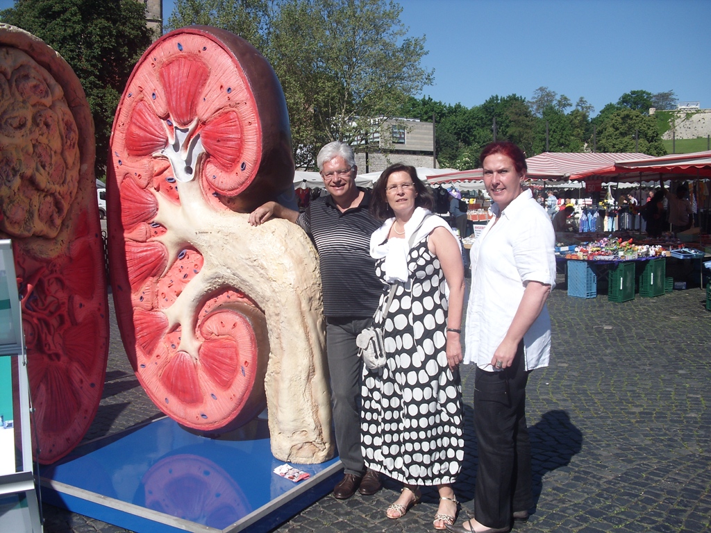 Organspende